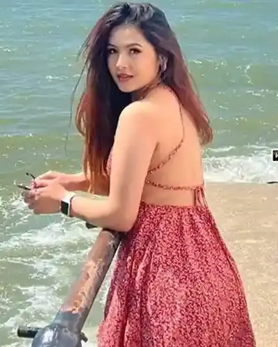 Pitampura Escort Service