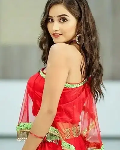Escort In Pitampura
